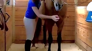 Multi Porn Videos 1